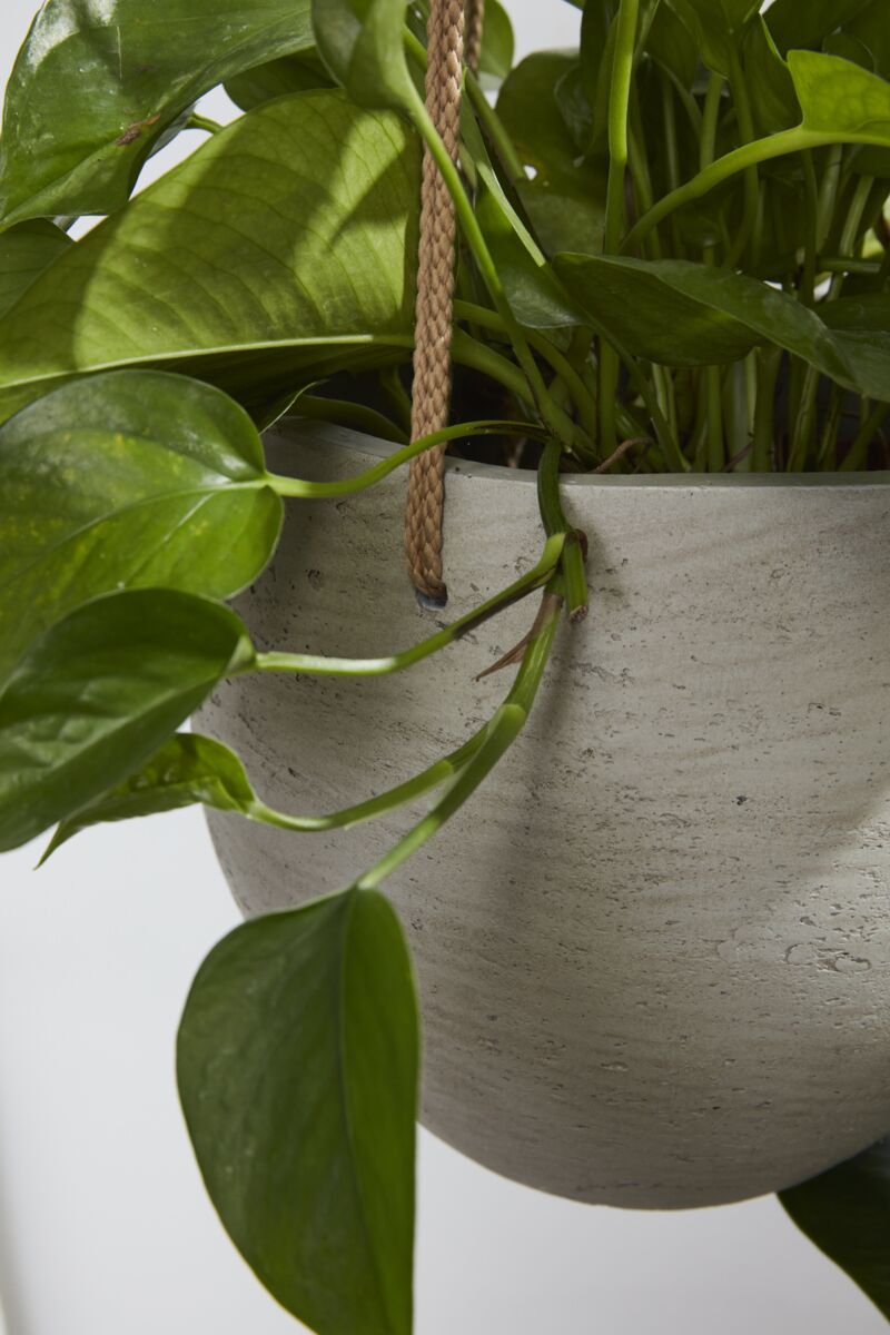 Figueroa Collection Hanging Pot - Online Only