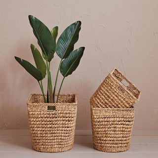 Hand Woven Water Hyacinth & Metal Baskets w/ Handles
