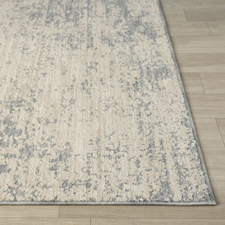 Vida Transitional Abstract Indoor Area Rug
