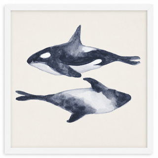 Whales
