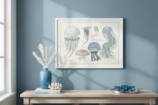 Vintage Colored Jellyfish Engraving Reproduction
