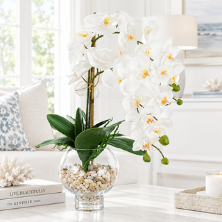 Orchid in Round Glass Jar

