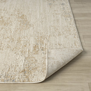 Vida Transitional Abstract Indoor Area Rug
