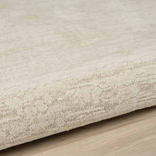 Modern Beige Transitional Abstract Power Loomed Rug
