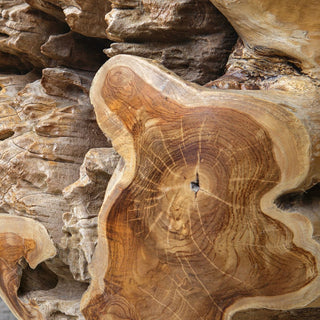 Sola Indoor/Outdoor Side Table
