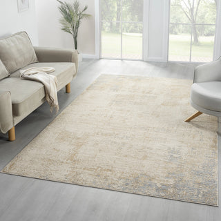 Vida Transitional Abstract Indoor Area Rug
