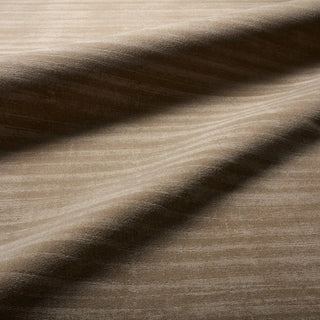 Canyon 04 Rug

