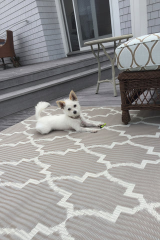 Casa Blanca Outdoor Rug
