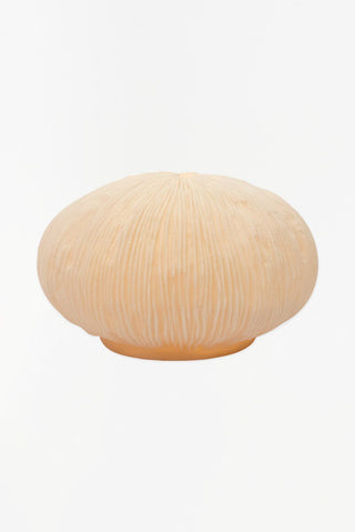 Medium Round Coral Lamp
