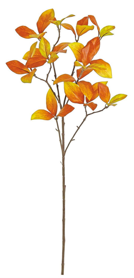 Enkianthus Foliage Spray 30"