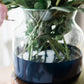 Navy Colorblock Flower Vase