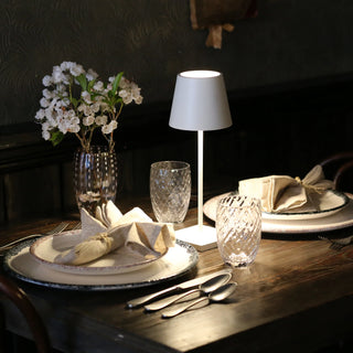 Poldina Pro Table Lamp
