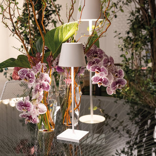 Poldina Pro Table Lamp
