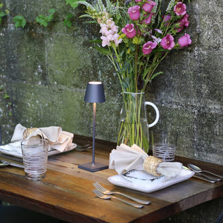 Poldina Pro Table Lamp
