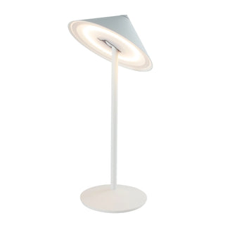 Pina L Desk Lamp

