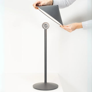 Pina L Desk Lamp
