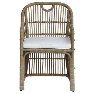 Lawson Rattan Arm Chair with Cushion, Natural
