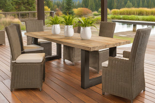 Nico Indoor/Outdoor Arm Dining Chair
