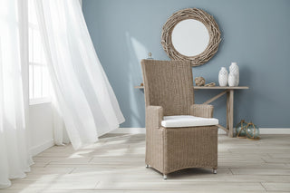 Nico Indoor/Outdoor Arm Dining Chair
