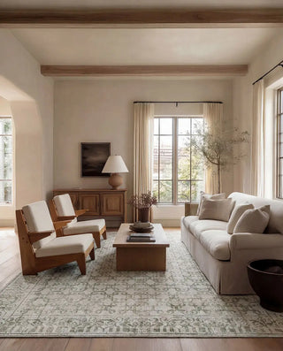 Serenita Rug
