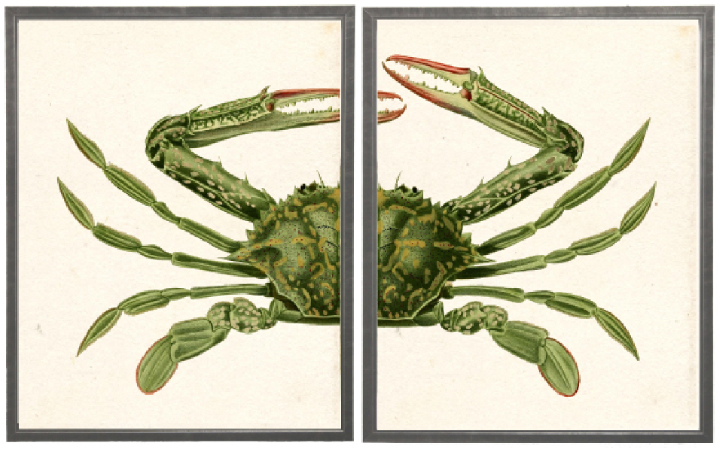 Diptych Green Crab - Online Only