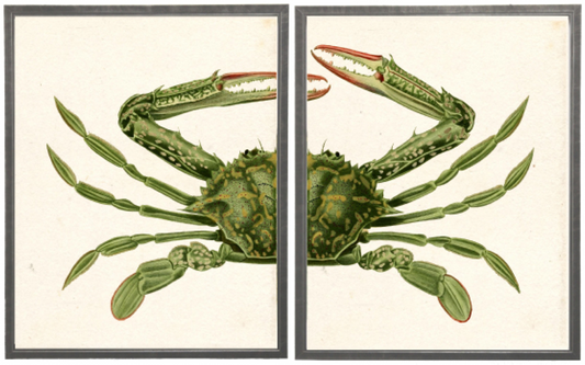 Diptych Green Crab - Online Only