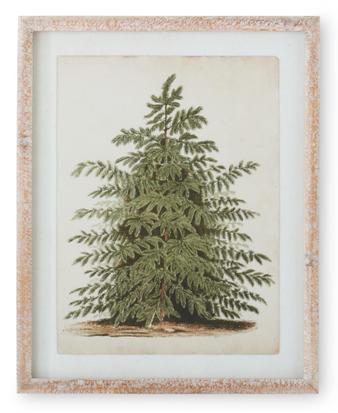 19.75 Natural Carved Wood Framed Pine Tree Print II