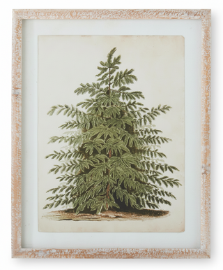 19.75 Natural Carved Wood Framed Pine Tree Print II
