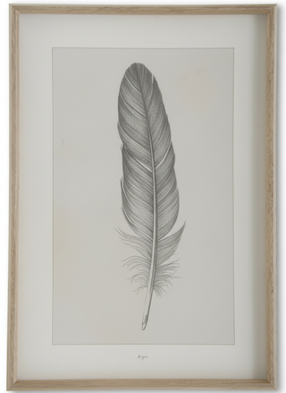 25.5 Inch Wood Framed Feather Print III
