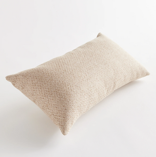 Blake Indoor/Outdoor Pillow
