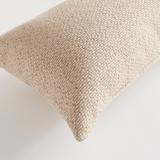 Blake Indoor/Outdoor Pillow
