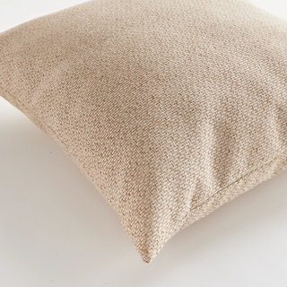 Blake Indoor/Outdoor Pillow
