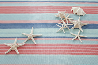 Aruba Stripe Handwoven Cotton Rug
