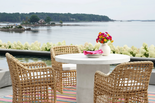 Bright Stripe Indoor/Outdoor Rug
