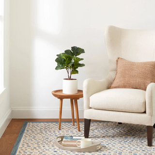 Cat's Paw Hand Micro Hooked Wool Rug
