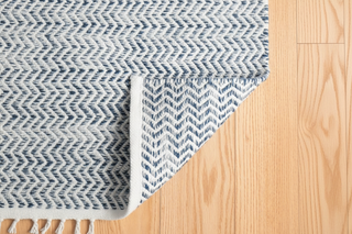 Coastal Blue Indoor/Outdoor Rug
