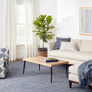Fusion Handwoven Indoor/Outdoor Rug

