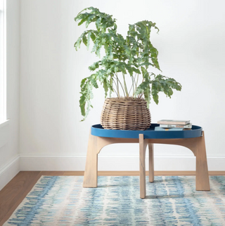 Paint Chip Natural Wool Rug
