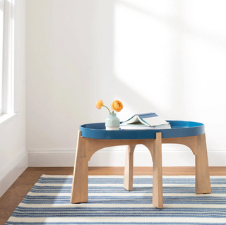 Road Runner Indoor/Outdoor Rug
