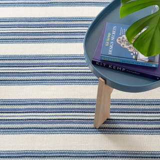 Road Runner Indoor/Outdoor Rug
