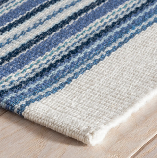 Road Runner Indoor/Outdoor Rug
