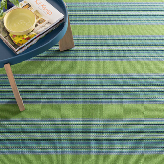 Road Runner Indoor/Outdoor Rug

