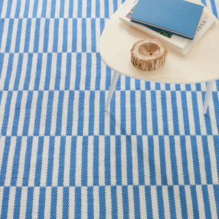 Sailing Stripe Handwoven Indoor/Outdoor Rug 2' x 3' ***
