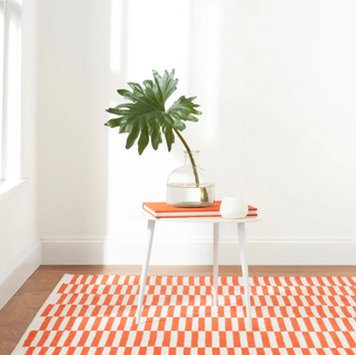 Sailing Stripe Handwoven Indoor/Outdoor Rug 2' x 3' ***
