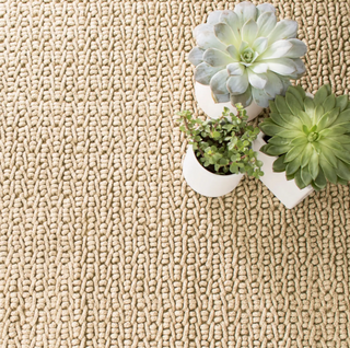 Veranda Indoor/Outdoor Rug
