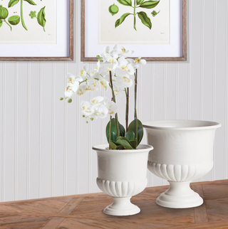 Mirabelle Decorative Pedestal Bowl
