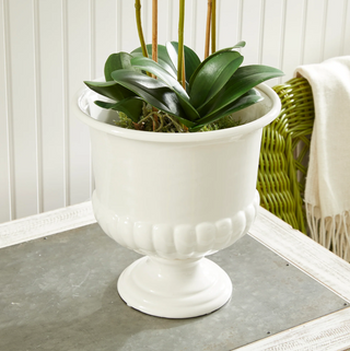 Mirabelle Decorative Pedestal Bowl
