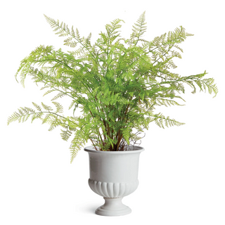 Mirabelle Decorative Pedestal Bowl
