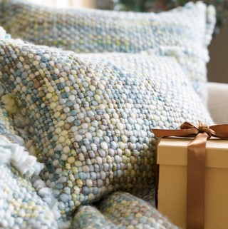 Elowyn Decorative Pillow
