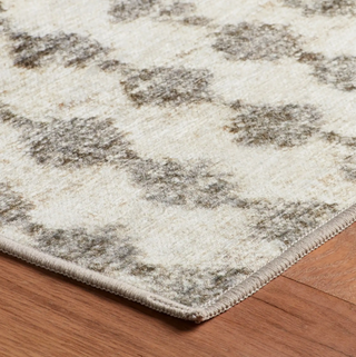 Izzy Machine Washable Rug
